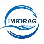 Firefly_cera ahora un logo para- ✅ 2️⃣ Imporag (Empresa aduanera) Concepto Transporte, agil 196339